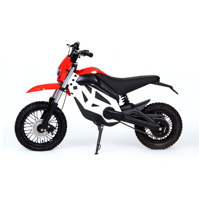 V3-300电摩 (2)